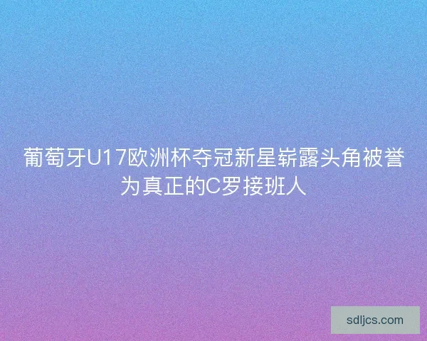 葡萄牙U17欧洲杯夺冠新星崭露头角被誉为真正的C罗接班人