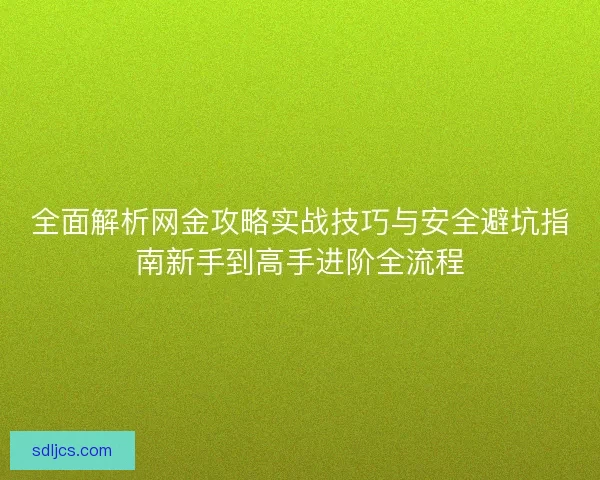 全面解析网金攻略实战技巧与安全避坑指南新手到高手进阶全流程